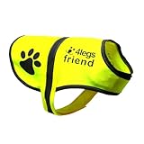 4LegsFriend Hunde Sicherheitsweste mit Leinenbefestigungsring 5 Größen - Hohe Sichtbarkeit für Outdoor Aktivitäten Tag und Nacht, Hält den Hund Sichtbar, Sicher vor Autos und Jagtunfällen (L)