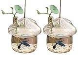 Trjgtas 2 hängende Blumenvase aus Glas in Form eines Terrariums, Behälter für den Hausgarten