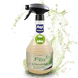 DR. WACK F100 Bio Fahrradreiniger 750 ml - Reinigungsmittel für das gesamte Fahrrad - Bio Fahrradpflegemittel - Reinigungsspray biologisch abbaubar & materialschonend - Hochwertige Fahrradpflege