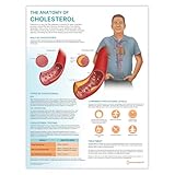 Poster 'The Anatomy of Cholesterin', 45 x 60 cm, Herzkrankheiten-Diagramm, Senkung des Cholesterinspiegels