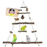 Vogelgaleria® Vogelspielplatz Vogelschaukel aus Naturholz | XXL Wellensittich Schaukel | kleines Papageienspielzeug | Wellensittich Spielzeug Nymphensittich | Wellensittich Spielplatz hängend