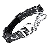 PETTOM Hundehalsband, Zugstopp Halsband Hunde mit Sicherheitsschloss, Halsband Breit Verstellbar und Reflektierend für Große Mittlere und Kleine Hunde