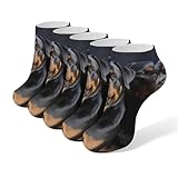 FWJZDSP 5 Paar Baumwoll-Söckchen für Damen und Herren, Rottweiler-Tapete, niedrig geschnittene Socken zum Laufen und Wandern, unsichtbare Sportsocken