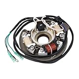Thonlai Außenborder-Ladebeleuchtungsspule, Statorspulenersatz für 40 PS 40X E40X mit Magnetsockel, Passend für 66T 85560 00 66T 85560 01