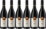 Pröglhöf Anomia (Zweigelt, Blauburger, Cabernet Sauvignon, Merlot) 2022 Trocken Bio (6 x 0.75 l)