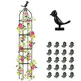 Hysagtek Rankhilfe Garten,145cm Obelisk Rankhilfe Brombeeren für Pflanzen Rankhilfe Rosen,Abnehmbar Glasfaser Rankturm mit 20 Stück Pflanzenklammer für Rosen Blumen und Tomaten Kletterpflanzen
