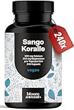 Sango Meereskoralle Kapseln hochdosiert - 240 Kapseln - Natürliches 660mg Calcium und 333mg Magnesium, Vegan & produziert in Deutschland - Verpackung kann variieren - Laborgeprpüft