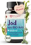 Bio Jod Tabletten - für Schwangerschaft & Stillzeit - 150 µg pro Kapsel - 100% vegan aus Kelp Algen - Jod Schwangerschaft für kognitive Funktion, Schilddrüsenunterfunktion - von PregniVital®