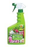 Compo Duaxo Rosen Pilz-frei AF, Bekämpfung von Pilzkrankheiten an Rosen, Zierpflanzen und Kräutern, Anwendungsfertige Handsprühflasche, 750 ml