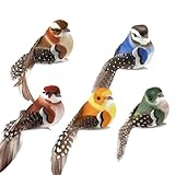 ChAusa 5 Pcs Vogel Deko mit Clip, Künstliche Federfiguren, Bunt Dekofigur mit Halterungsklammer für Garten Party Dekoration