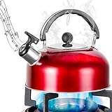 Wasserkessel, 3L Flötenkessel, Wasserkessel Induktion, Edelstahl Teekessel, Edelstahl Flötenkessel, Wasserkocher für Gas Induktion für Camping, Wander, Kochen Im Freien