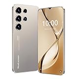 Fine Life Pro Entsperren Telefon, 6,3-Zoll-Bildschirm, Dual-Kameras, Dual-SIM-Karten, 2GRAM+16GROM, erweiterbar 128GB, unterstützt 4G FDD-LTE: B1/3/7/20, Android-Telefon (5, Grey)