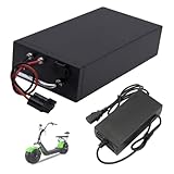 SSCYHT Wiederaufladbare Batterie 48V 20Ah Lithiumbatterie 20Ah Rollerbatterien 48V Motorradbatterien mit Ladegerät und Griff für 250W - 1000W Motoren