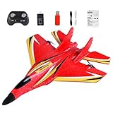 Qzdtue LED Colorful Light Airplane, RC Aircraft Toy for Kids, Outdoor Flying Toy for Kids, Early Learning Remote Control Plane, 2.4 GHz RC Plane for Beginners, Airplane Toy for Boys and Girls