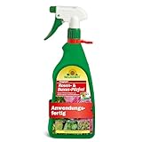 Neudorff Fungisan Rosen- und Buxus-Pilzfrei – Anwendungsfertiges Spray zur Bekämpfung von Pilzkrankheiten an Rosen, Buxus und Zierpflanzen, vegan, 1 Liter