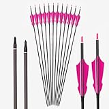 PHILOCS 12 Stück Rosa Widerhaken Feder Jagdpfeile ID 6,2 mm Spine 200 250 300 350 400 500 600 700 800 Pfeil aus Reinem-Carbon, für Bogenschießen (32inch,Spine 300)