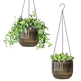 Calvalor 16.5cm 2er Set hängepflanzen Topf Hängeblumentöpfe aussen Hängeampel außen blumenampel hängend innen hängetopf für Pflanzen Hängetöpfe hängender blumentopf hängend hänge blumentöpfe hängende
