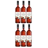 Katlenburger Erdbeerwein Fruchtwein rosé Deutschland inkl. FeinWert E-Book (6 x 0,75l)