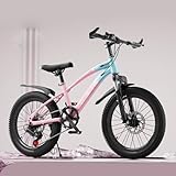 Kinder Mountainbike 22 Zoll Singlespeed Integriertes Rad Mit Doppelscheibenbremsen Vorne und Hinten und Stoßdämpfung A1,20 inches
