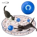 DAOUZL Interaktives Spielzeug für Katzen,2-in-1 Katzenspielzeug,Katzen Spielteppich mit Interaktiver Ball,Interaktives Jagdkatzenspielzeug,Interaktive Trainingsmatte für Stimuliert Den Jagdinstinkt