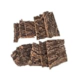 Levemolo 10 Stück Teiliges Natürliche Baumrinde Dekoration für Terrarien Korkrinde Kletterplattform für Eidechsen Bartagamen Schildkröten und Kleine Reptilien Terrarium Landscape Bark