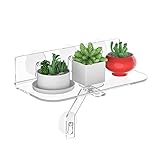 Hexsonhoma Clear Acryl Fenster Regal für Pflanzen, Fensterbank Pflanzenregal mit starker Cup Saugung, 30CM hängende Fenster Pflanzenregale für Pflanzen, Kamera, Bilderrahmen(1 Packung)
