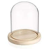 TOLIDA Natürlichen Glaskuppel mit Vintage-Holzsockel Robust Langlebig Dekorative Glasglocke Tischplatte Display für Lampe Kerze Rose Dekoration und Antiquität zu Weihnachten Geburtstage Valentinstag