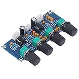 Cocoarm Dual-Channel-Vorverstärker-Modul Audio-Vorverstärker-Platine mit NE5532-Chip für Digitalverstärker DC 12V-24V