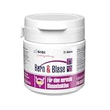 GIGI VET Harn & Blase Tabletten für Hunde und Katzen – Ergänzungsfuttermittel mit Cranberry, Bärentraubenblättern & Vitamin C zur Unterstützung der normalen Harnwegsfunktion - 28 Stück