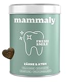 10-in-1 Zahnpflege Leckerli für Hunde - Fresh Smile 60 Snacks (175g) von mammaly - Gegen Mundgeruch, Zahnstein mit Pfefferminz, Seealge, Vitamin C, Petersilie u. v. m. für Maulhygiene, Mundpflege