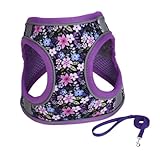 HAPINARY Haustiergeschirr Haustier Geschirr Für Kleine Hunde Geschirr Für Kleine Welpen Hundegurtleine Welpengeschirr Haustier Zugseil Hundegeschirr Für Hunde