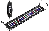 Sonnig Aquarium LED Beleuchtung Mit Verstellbarer Halterung, Dimmbare 11W 1500 Lumen Aquarium Lampe Mit Timer für Wasserpflanzen und Süßwasser-Aquarien(40-60cm)