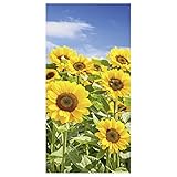 Motiv Banner Sonnenblumen 100 x 200 cm schwer entflammbar Landschaft Bilder Wandbild Herbstbild Herbst Poster Displaybanner Banner Textil Poster Textilbild Schaufenster Textilbanner Stoffbanner