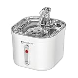 Molly&Cody Spring Trinkbrunnen für Katzen & Hunde (2L Wasserkapazität, automatischer Wasserspender, Ultra leise Wasserpumpe, sichtbare Wasserstandanzeige, 3-faches Filtersystem, kompakt, Edelstahl)