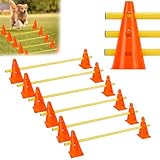 QWORK® Sports Steckhürdenset 12 Kegel + 6 Stangen Agility,23cm Höhe, 100cm Länge, Steckhürdenset für Koordinationstraining