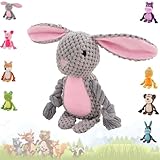 Sunshine smile Hundespielzeug,Hund Quietschspielzeug mit Knitterpapier,Plüschtier Hund Plüsch Kauspielzeug,Intelligenzspielzeug für Hunde,Hundespielzeug Kleine Hunde