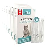 OptiPet Spot On Pipetten für Katzen 36x1ml - Hochwirksame Tropfen gegen Milben, Flöhe, Zecken & Läuse - Parasiten Abwehr Schutz bis zu 144 Wochen - Flohschutz, Zeckenschutz, Zeckenmittel für Katzen