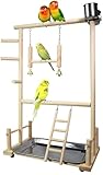 Papageien-Spielständer aus Holz, doppellagig, Vogelspielplatz, Vogel-Gymnastik, inkl. Leiter, Schaukelglocke, für kleine Sittiche, Cockatiels, Kegel, Finken, Budgie