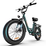 URLIFE E-Bike für Erwachsene, 20 * 3.0' Fetter Reifen Elektrofahrrad Für Stadtpendler, 48V 13Ah Austauschbarem Akku bis 100KM, 250W Motor mit LCD Display, 7 Gang Elektrofahrräder Für Herren Damen