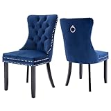 2er Set Samt Polsterstühle mit Nagelkopf-Rückenlehne und Ringbesatz für Küche/Schlafzimmer/Wohnzimmer, Holz Lounge Stühle