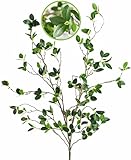 DEMIUKO 2 Stück Künstliche Ficus Zweige Blätter Grünpflanzen Äste 110 cm Hoch Kunstzweige Eukalytus Dekozweige Branches Kunstpflanze für Innen Bodenvase Vasenfüller Zuhause Hochzeit Büro Deko