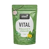 Bio Detox Tee – mit Brennnessel, Löwenzahn & weiteren Kräutern– Gewichtsverlust Kräutertee für Detox-Phasen – mit Bitterstoffen - biozertifiziert, vegan & ohne Zusätze – lose 60 g Beutel