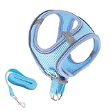 Fluchtsicheres Katzen Geschirr | Weiches Reflektierendes Mesh Geschirr Und Leine - Haustier Zubehör Für Sicherheit Training Reisen Wandern Rucksack Outdoor Abenteuer