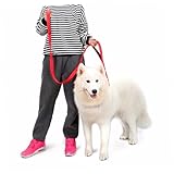 HAPINARY Trainingsleine für Hunde geldschrank The safness Hunde Training Hunde Gurt joggingleine campimg Leinengurte Bequeme Hundeleine keilriemen Hundespaziergang führt Haustier-Leine rot