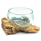 Gedeko Wurzel mit Glasschale klein Schale Dekoschale Glas auf Holz Durchmesser 12-13 cm Holzdeko Teakholz Deko (Hellbraun)
