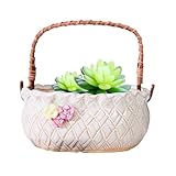 Générique Keramik-Pflanztopf, Blumenkübel für den Innen- und Außenbereich, multifunktional, Sukkulenten-Pflanzen, dekorative Pflanzen, Bonsai-Töpfe für Garten und Balkondekoration, 14 x 9 x 7 cm