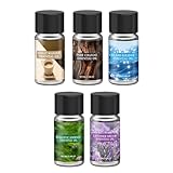 Auto Lufterfrischer | 5 Stück Aromatherapie Duft Parfüm,Auto Düfte Lufterfrischer Lüftungsclip | Für Automobil Innenraum Zimmer Badezimmer Wohnhaus Wand Frauen Mädchen Familie Freunde Kollegen