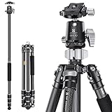K&F Concept X-Series Carbon Stativ, 172cm Kamera Stativ, Professionelles Fotostativ mit 30mm Metallkugelkopf, Tragfähigkeit 12KG,Tripod für Innen- und Außen-Fotographie X254C4+BH-30
