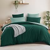 Aisbo Bettwäsche 200x220 3teilig Dunkelgrün Salbeigrün - Bettwäsche Sets 1 Bettbezug 200x220 cm + 2 Kissenbezüge 80x80 cm, ÖKO-TEX Wendebettwäsche Weich Mikrofaser mit Reißverschluss