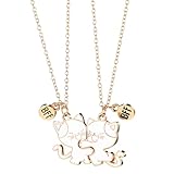 SHENLIU 2 Stück Freundschaftskette, Freundschafts Katzen Kette Gold Freunde Ketten Magnetische Halskette Mit Katze Anhänger Für Geburtstag Weihnachten Brautjungfer Oder Schwestern